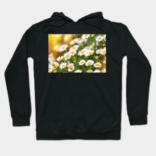 Days in the sun Hoodie